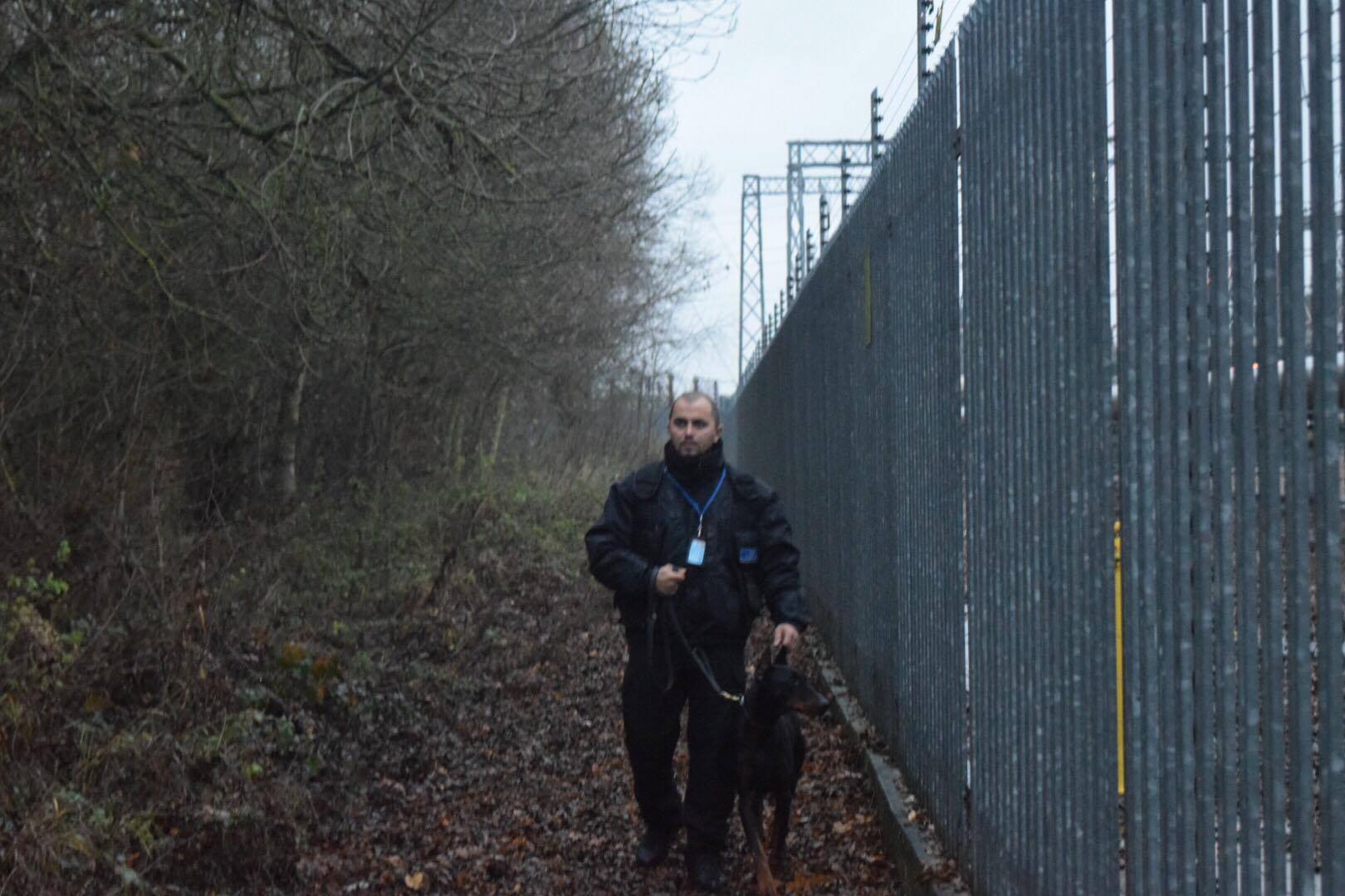 CCTV security | Dog security