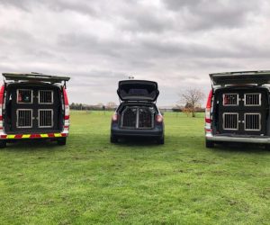 23755700_1949664878631355_8946435636957308142_n